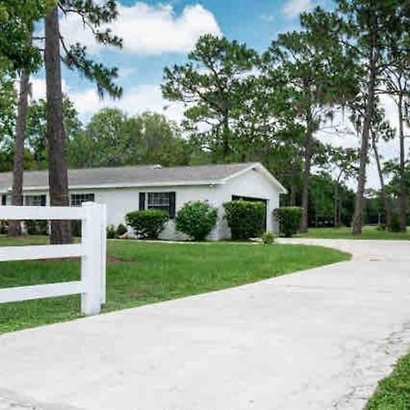 3Bdr2Bath Home In Lutz Close To Tampa, 20 Min To Stadium, Airport Bagian luar foto