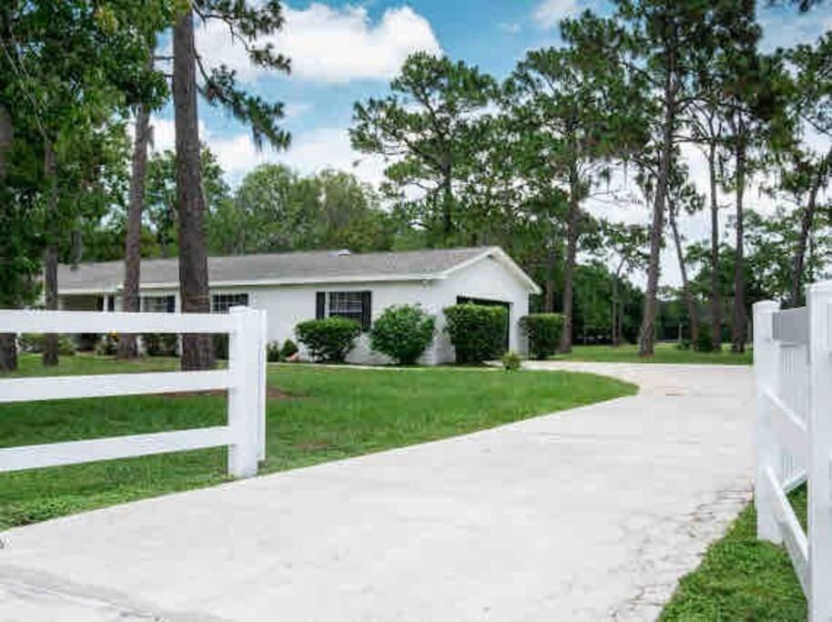 3Bdr2Bath Home In Lutz Close To Tampa, 20 Min To Stadium, Airport Bagian luar foto